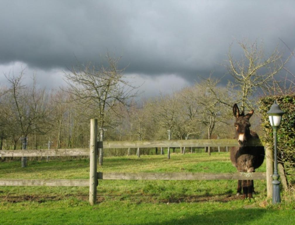 La Nouvelle France Longvillers Bagian luar foto